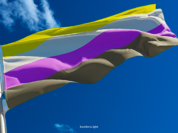 Lámina Fotográfica «Bandera No Binaria De Globos Oculares» De