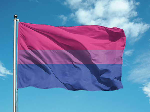 Bandera Orgullo Bisexual Para Exterior Comprar Online En Tienda LGBT